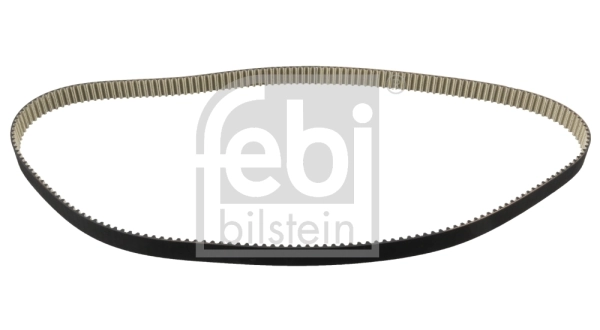 Timing Belt
